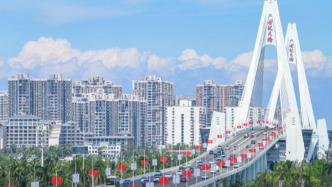 看圖學(xué)習(xí)丨打造引領(lǐng)我國新時(shí)代對(duì)外開放的重要門戶