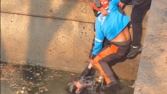 是路人也是“超人”，眾人合力勇救落水兒童