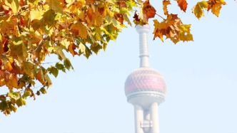 十二月過半上海氣溫再次逼近20℃，近期氣溫將大起大落