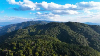 “哀牢山荒野求生赛事”取消，此前赛事消息引发争议