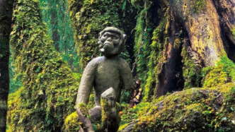前期宣传引争议，云南“哀牢山荒野求生赛”停止举办