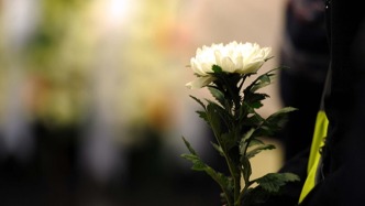 逝者無繼承人喪事誰來辦？誰能買墓地？遺產(chǎn)怎么處理？民政部門釋疑