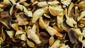 廣東新會(huì)就“陳皮產(chǎn)地造假”再通報(bào)：對(duì)6家企業(yè)作出處理