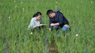 习近平总书记关切事｜攥紧中国种子