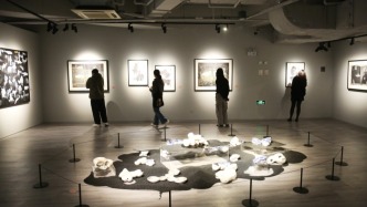 陶瓷+版畫，這場藝術(shù)展見證中泰文化交融交流