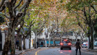 冬至已至，下周上海能入冬嗎？