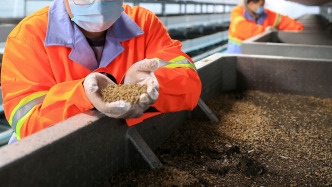 播客｜黑水虻：一只蟲如何“吃”出一個城市的循環(huán)方案？