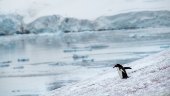 南极活动与环境保护法草案首次提请全国人大常委会会议审议
