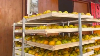 广西浦北县再通报：对“速成工艺陈皮”方式加工的浦北陈皮予以禁止