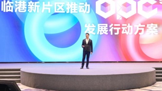 “一个人创业”获60余项服务支持，临港：发展“超级个体”不是赶时髦