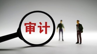 整改超1万亿元！2024年度审计整改报告出炉