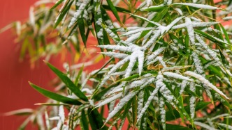 12月23日凌晨起北京有降雪，部分路段积雪和结冰将影响早高峰