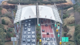 網(wǎng)友建議上海長(zhǎng)江隧橋推出高速通行年卡，崇明區(qū)交通委回應(yīng)