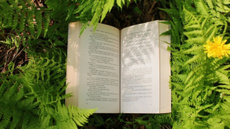 演員抗辯權(quán)須有合理限度，過(guò)度行使或構(gòu)成違約