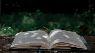 股東身份內外不一？應該依哪個為準？