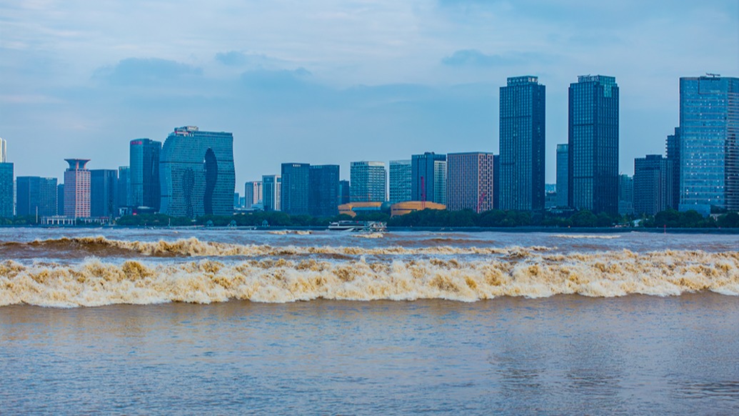 民营经济大省浙江培育“新质浙商”：他们是个怎样的群体？