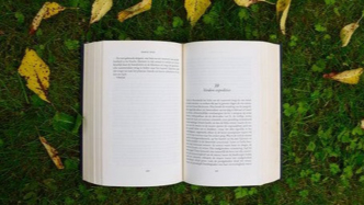 變更影片主創(chuàng)陣容的合理邊界在哪？