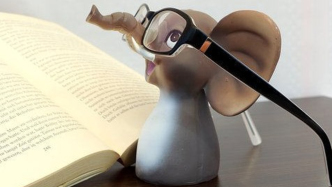 簽約后，如何行使知情權(quán)調(diào)整收益？