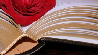 支付違約金但未蓋章，和解算不算數(shù)？