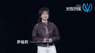 羅福莉首秀，雷軍的AI新戰(zhàn)事