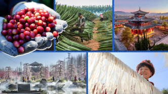 看图学习·回眸2025丨打好乡村振兴的“王牌” 总书记这样勉励大家