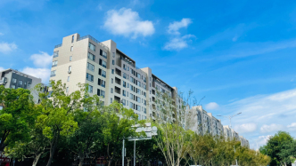 從“打補(bǔ)丁”到整體煥新，萬人社區(qū)如何擺脫“外墻之困”？