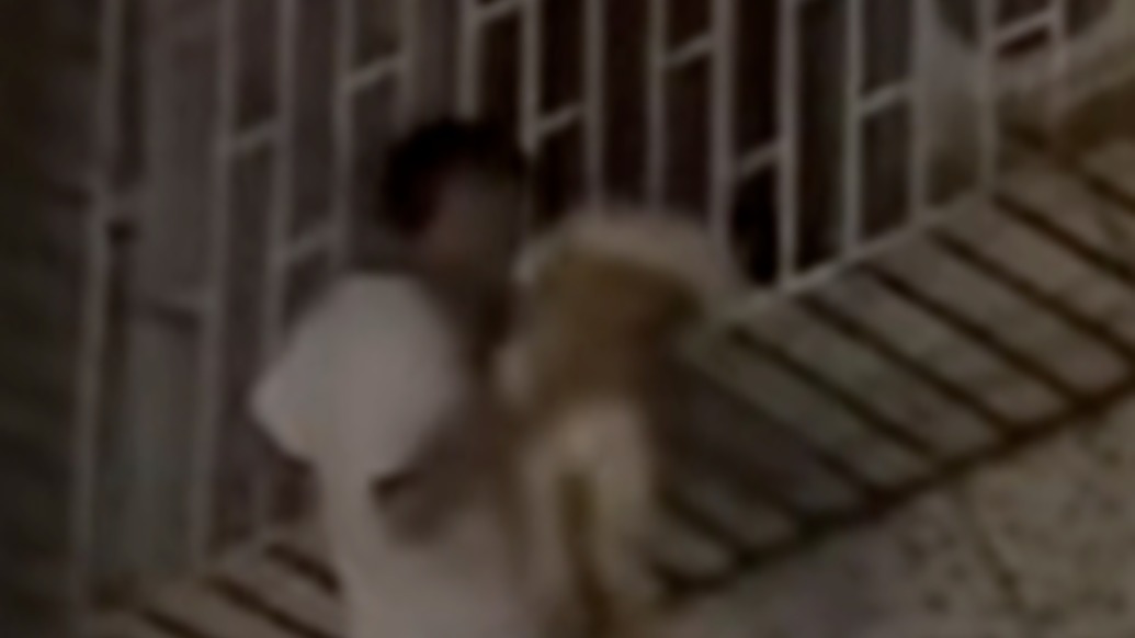 這就是無畏的英雄，幼童被卡防護(hù)窗懸在空中小伙徒手爬樓救娃