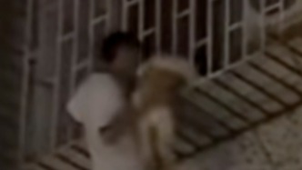 这就是无畏的英雄，幼童被卡防护窗悬在空中小伙徒手爬楼救娃
