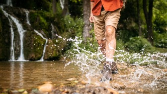 穿过心智的帷幕，跃入生命的河流