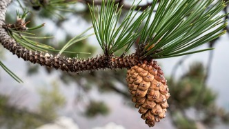 得到的多，所以付出的就应该多