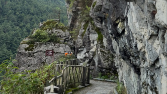 一男子在大理蒼山觀光步道外疑自縊身亡，官方：正調(diào)查處置