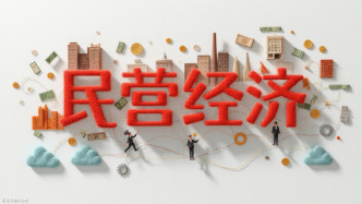 備案審查如何護(hù)航民營(yíng)經(jīng)濟(jì)？嚴(yán)冬峰：清理、促糾規(guī)范性文件