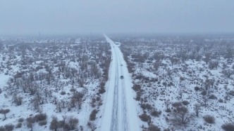 大美中国丨塔克拉玛干沙漠北缘迎入冬首场降雪，百万亩胡杨林披银装
