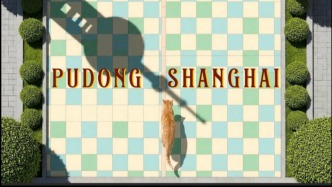 互聯(lián)網(wǎng)優(yōu)創(chuàng)者“說” | 當(dāng)AI小貓遇見魔都，海辛與阿文的“城市漫游”