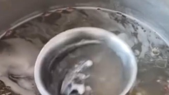 广西百色通报“一粉店汤锅内出现异物”：责令立即停业整改