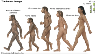 赵鼎新丨智人性和AI时代人类的出路——一个基于人的特性的思考