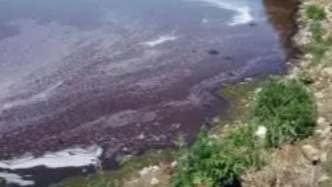 生態(tài)環(huán)境部：我國(guó)農(nóng)村基本消除較大面積黑臭水體