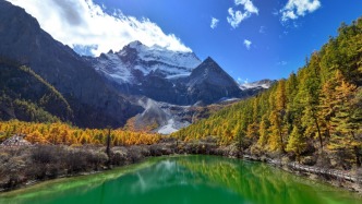 生態(tài)環(huán)境法典草案將提請十四屆全國人大四次會議審議