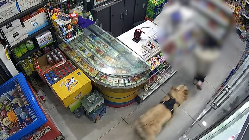 未拴绳大狗进店扑向女童，物业：现场无人受伤，已向狗主人强调文明遛狗