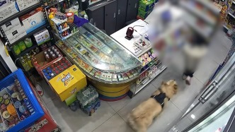 未拴绳大狗进店扑向女童，物业：现场无人受伤，已向狗主人强调文明遛狗