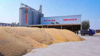 国家粮储局：全国秋粮收购已超2亿吨