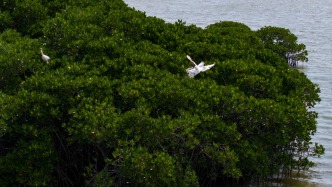 何建华专栏：工业化与城市化“双轮驱动”的国家奇迹