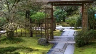 白塞病辨證用藥指南：吳茱萸與附子，一主降逆、一主通絡(luò)