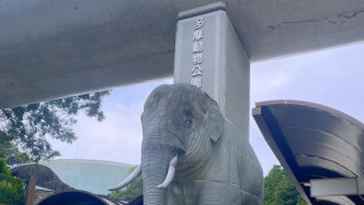 日本東京多摩動物公園一頭狼逃脫，園方疏散游客展開搜尋
