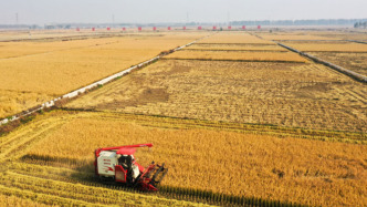 数览中国脉动｜科技赋能！“汗水农业”向“智慧农业”加速迈进