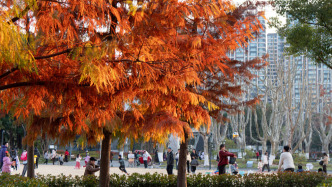 上海終于入冬了！今年還有最后一場(chǎng)大回暖，明日沖擊17℃