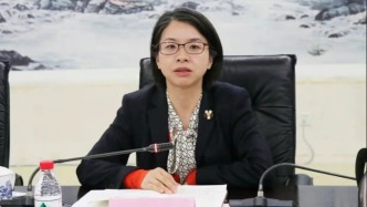 共青团武汉市委书记皮惠兰履新武汉市委市直机关工委