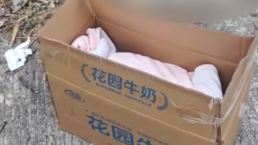 广东湛江市民在郊外纸箱内发现女婴，已送往福利院