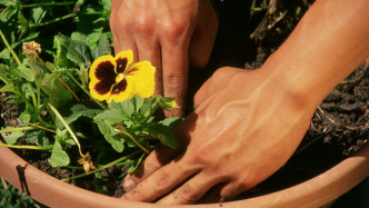 国家林草局：种苗花卉年产值超五千亿元，产业不断发展壮大