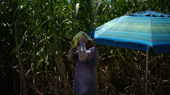 民调：超六成美国选民认为气候危机推高生活成本，但党派分野显著